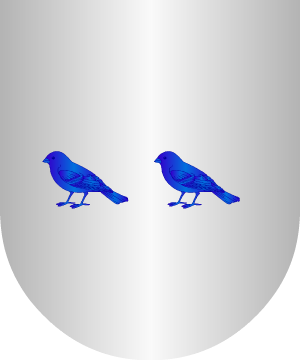 ESCUDO ALEATORIO