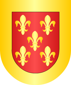 ESCUDO SIGUIENTE