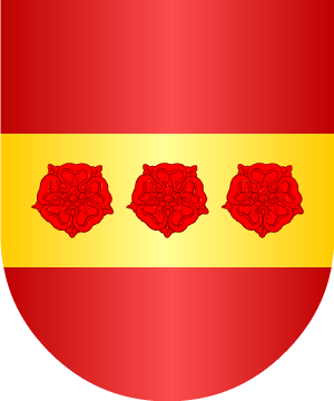 ESCUDO ALEATORIO