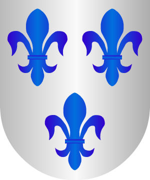 ESCUDO SIGUIENTE