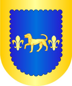 ESCUDO ALEATORIO